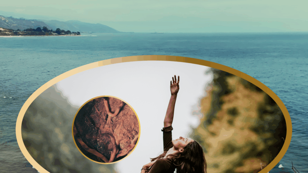 Design ohne Titel.zip - 2